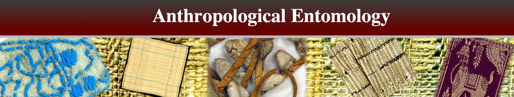 Anthropological Entomology Header